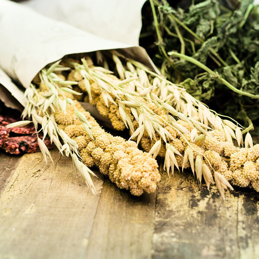 grünhopper Hirseähren 1 kg Maxipack