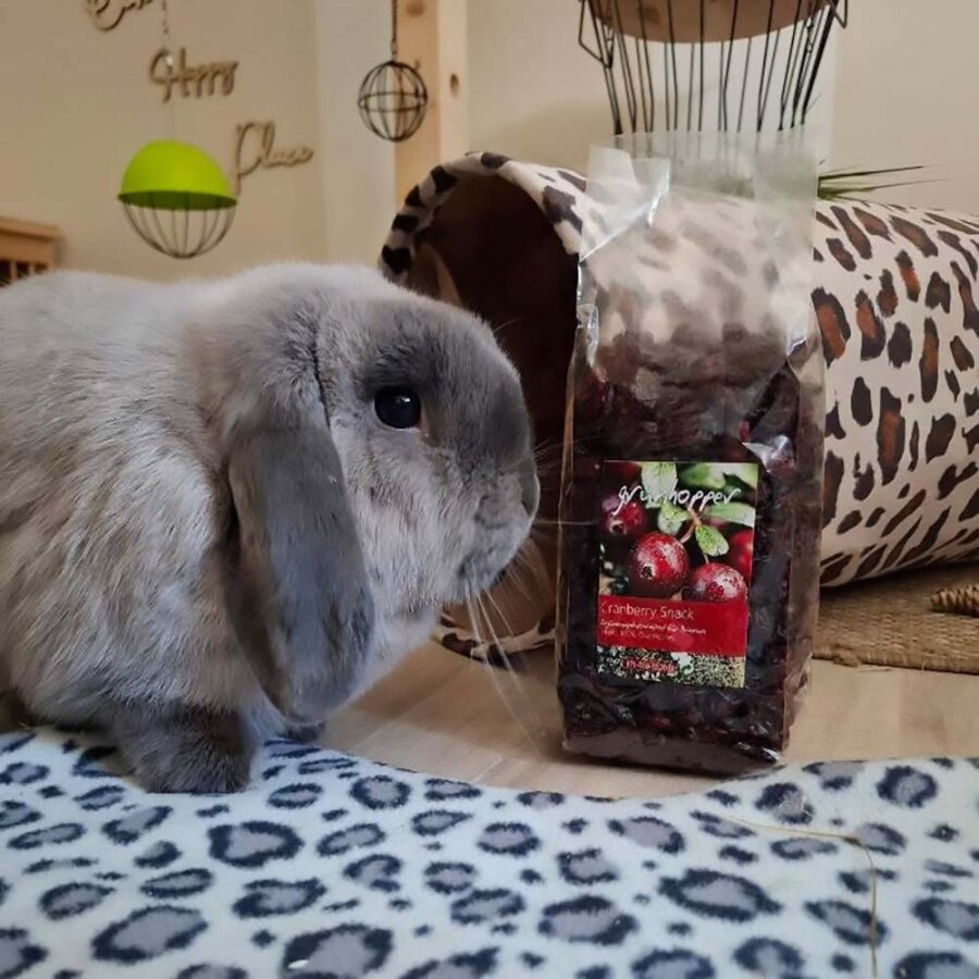 Cranberry Snack