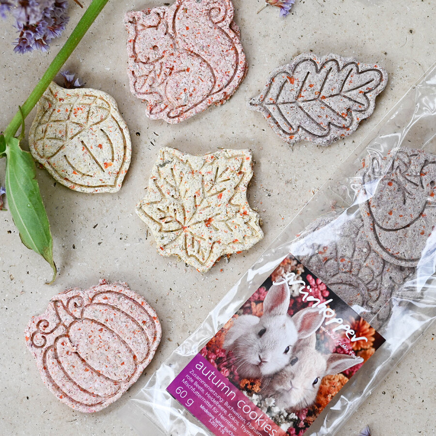 autumn cookies