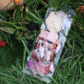 autumn cookies