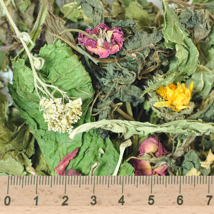 grünhopper dental&allergy