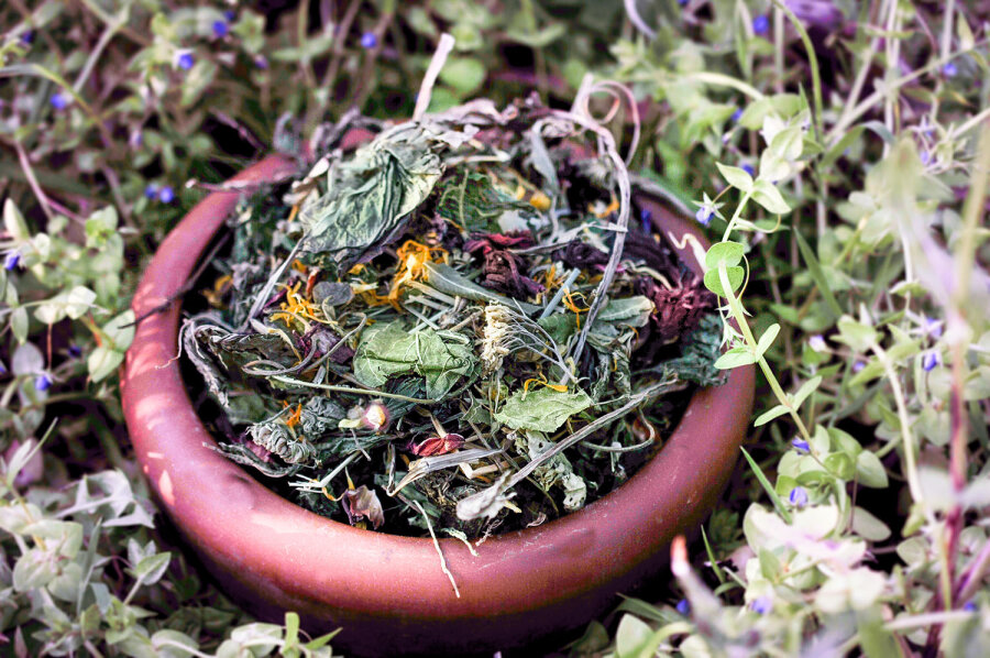 grünhopper dental&allergy