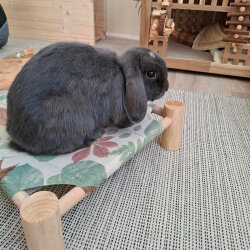 Hammock Ersatzbezug mit Klett M leaf mix