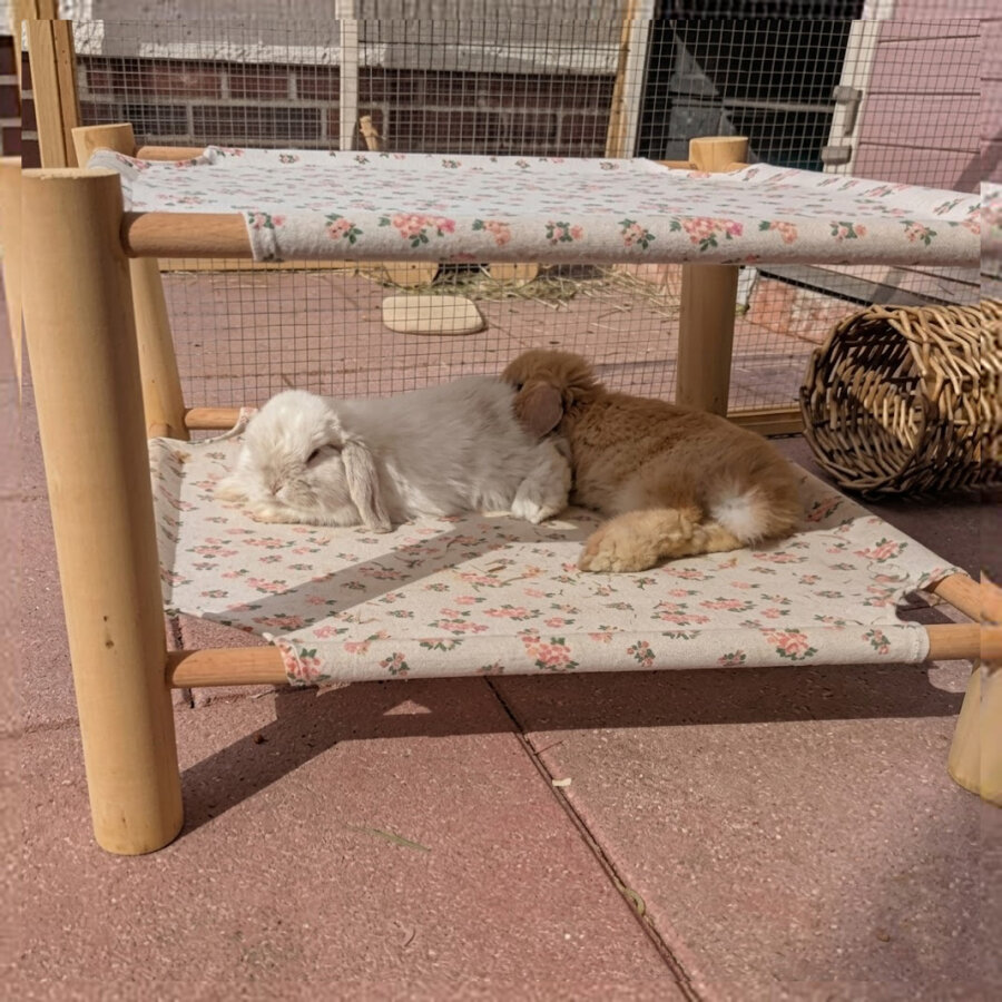 Hammock Doppeldecker