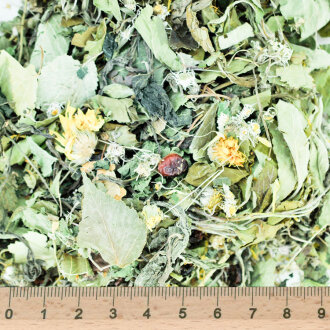 grünhopper urinary