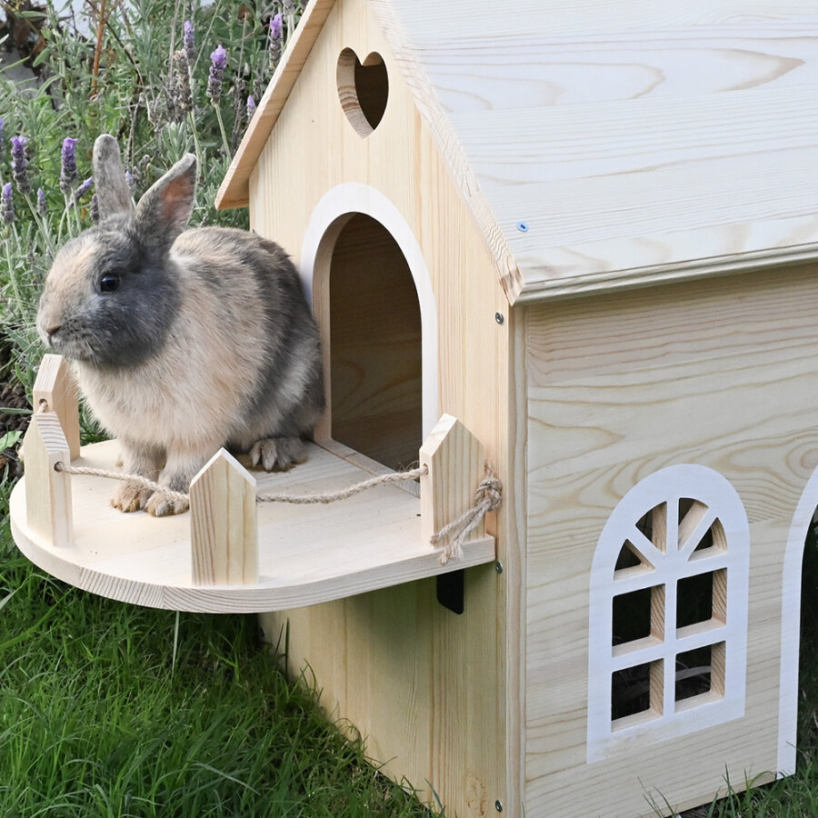 Haus Ella natur