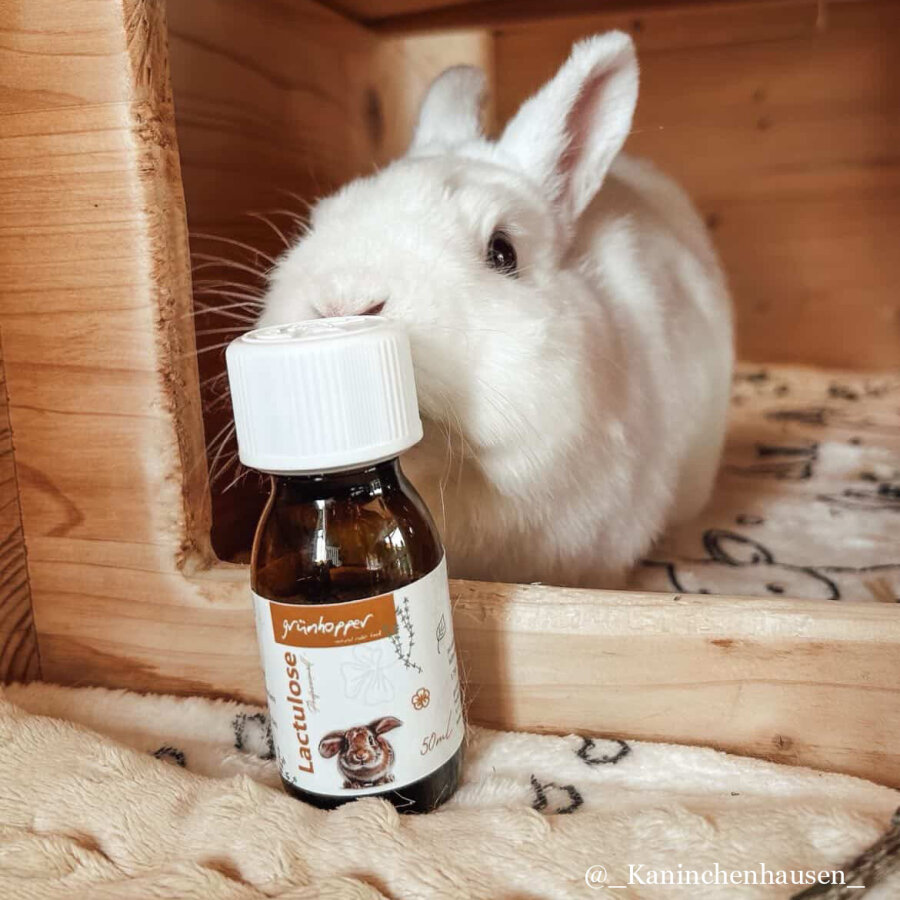 Lactulose