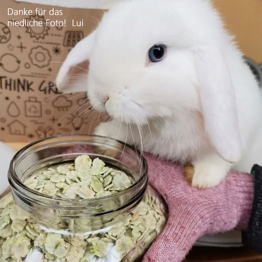 grünhopper Erbsenflocken