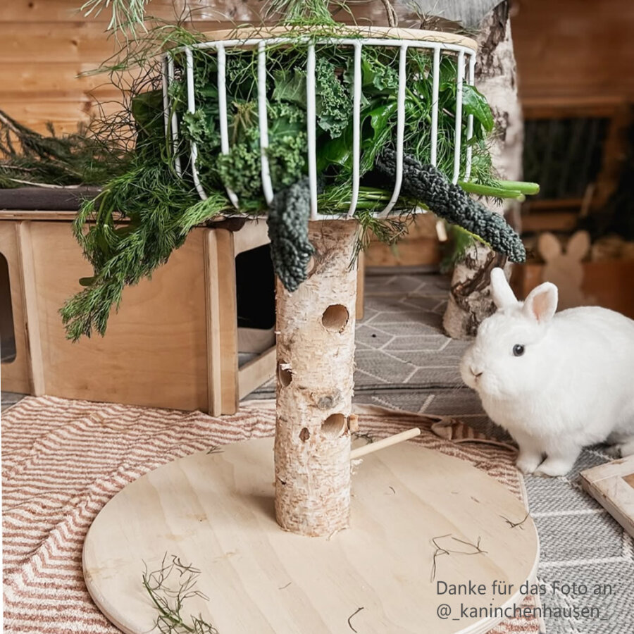 Futterbaum