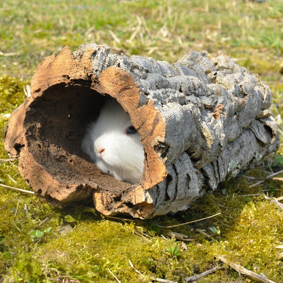 Korktunnel