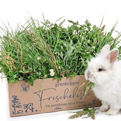 Frischekiste Wiesenwildkräuter 1 kg