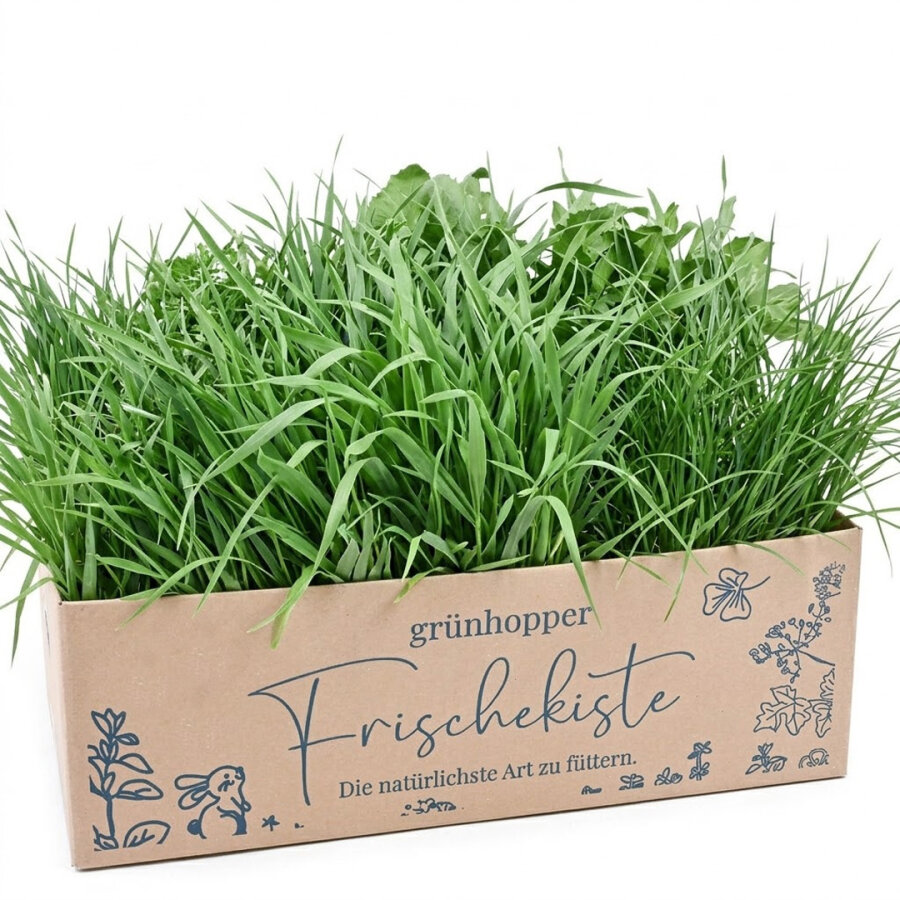 Frischekiste Grasbox