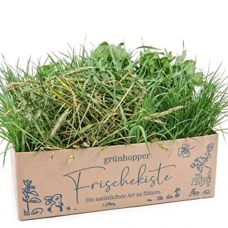 Frischekiste Grasbox