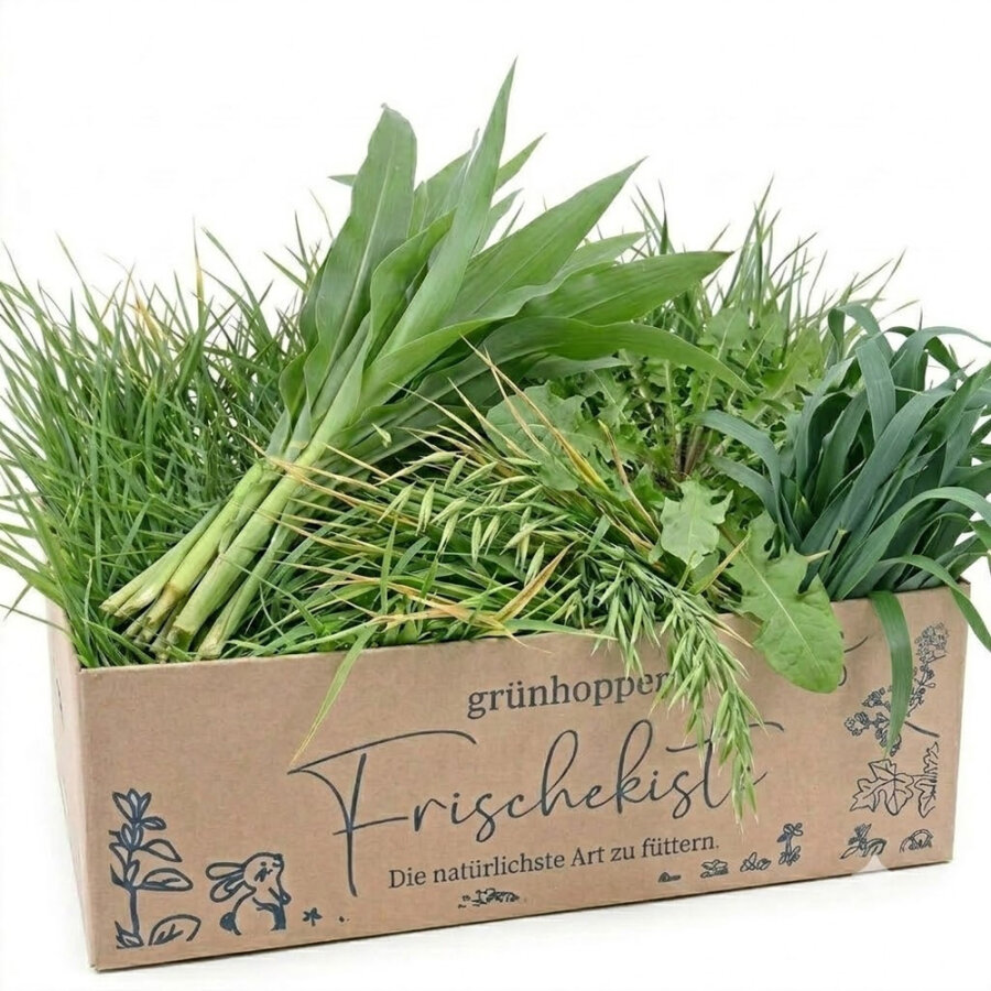 Frischekiste WildeGrünbox