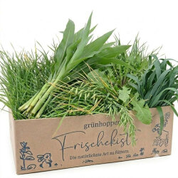 Frischekiste WildeGrünbox