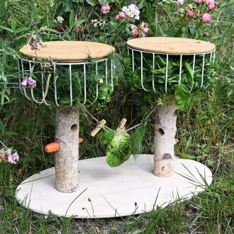 Duo Futterbaum