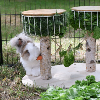 Duo Futterbaum