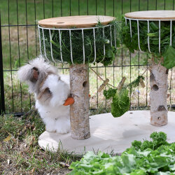 Duo Futterbaum