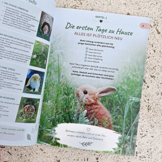 Kaninchen Ratgeber