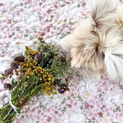 Frischekiste skandinavisch inspirierter Wildblumenstrauß