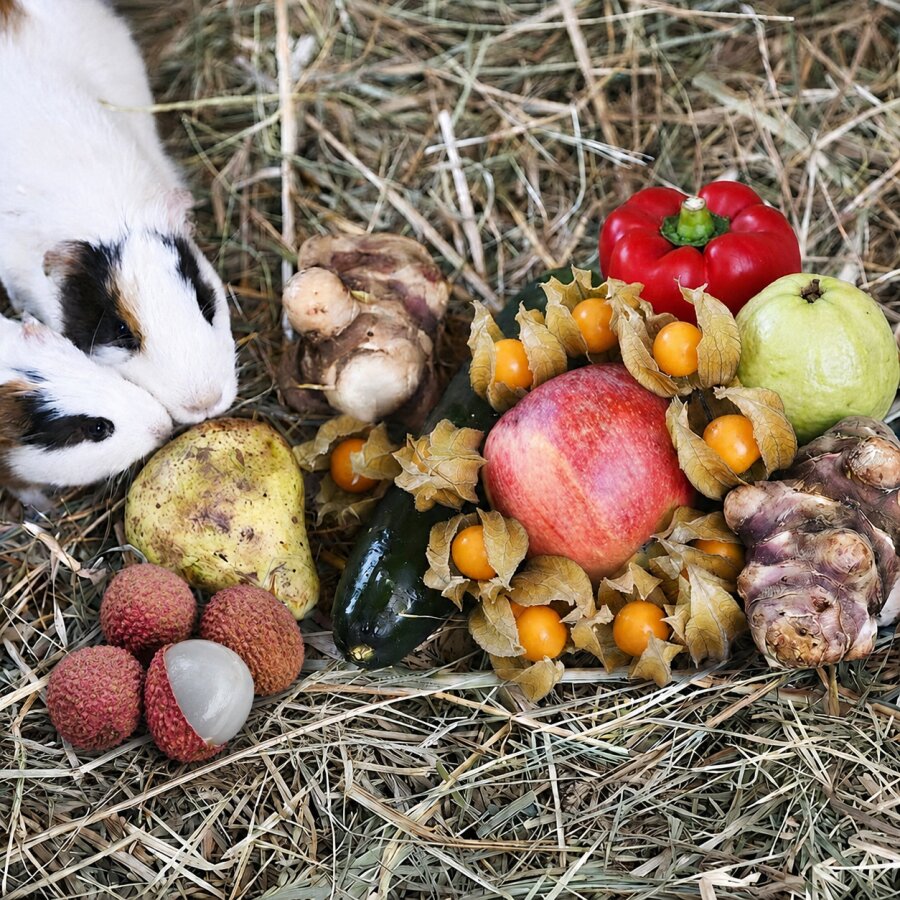 Frischekiste Meeri Mix 1,5 kg Special Edition