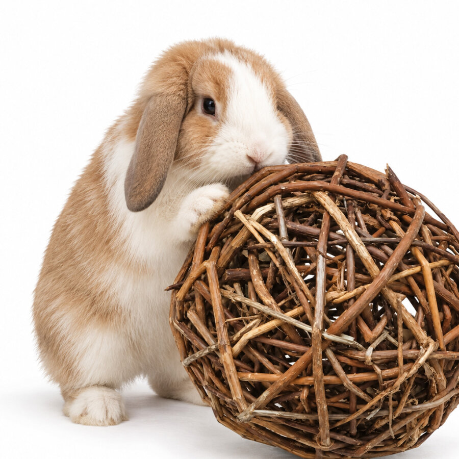 Willow ball