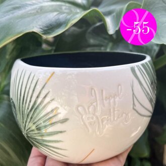 bowl summer palm