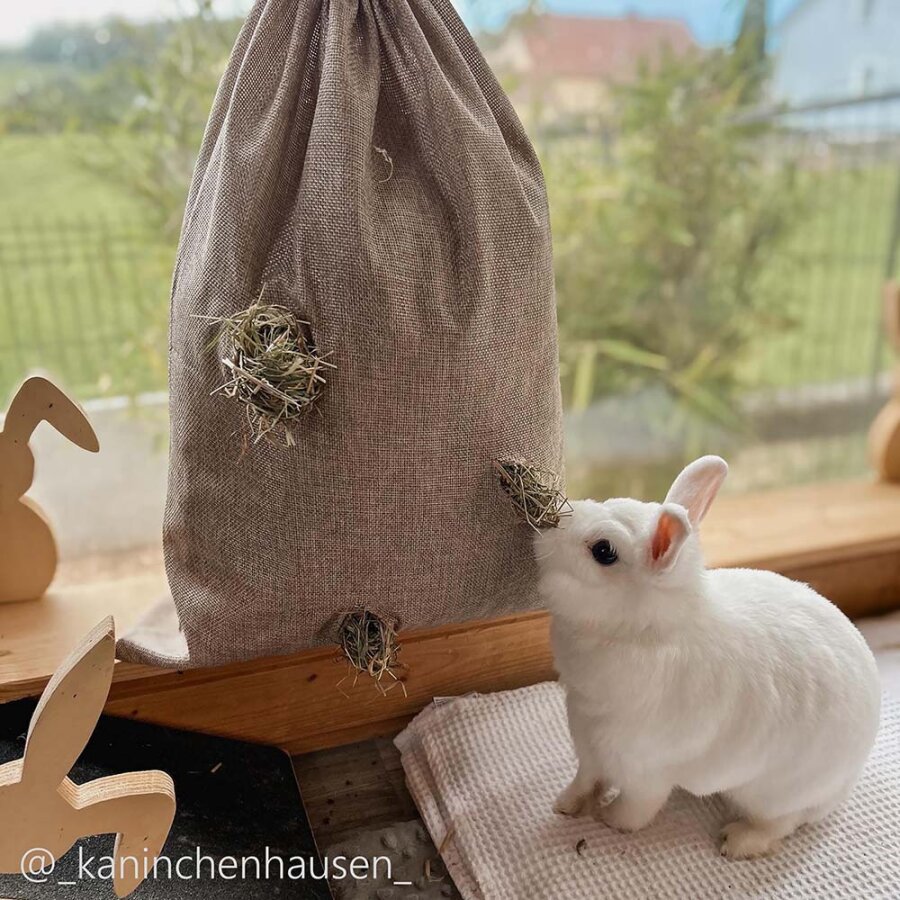 bunfunXL rose hay