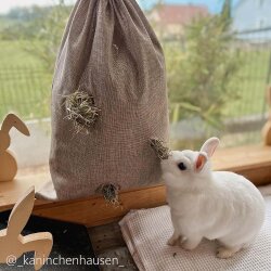 bunfunXL rose hay