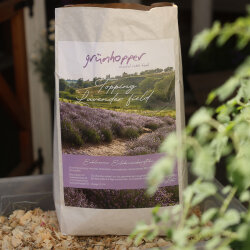 topping lavender field