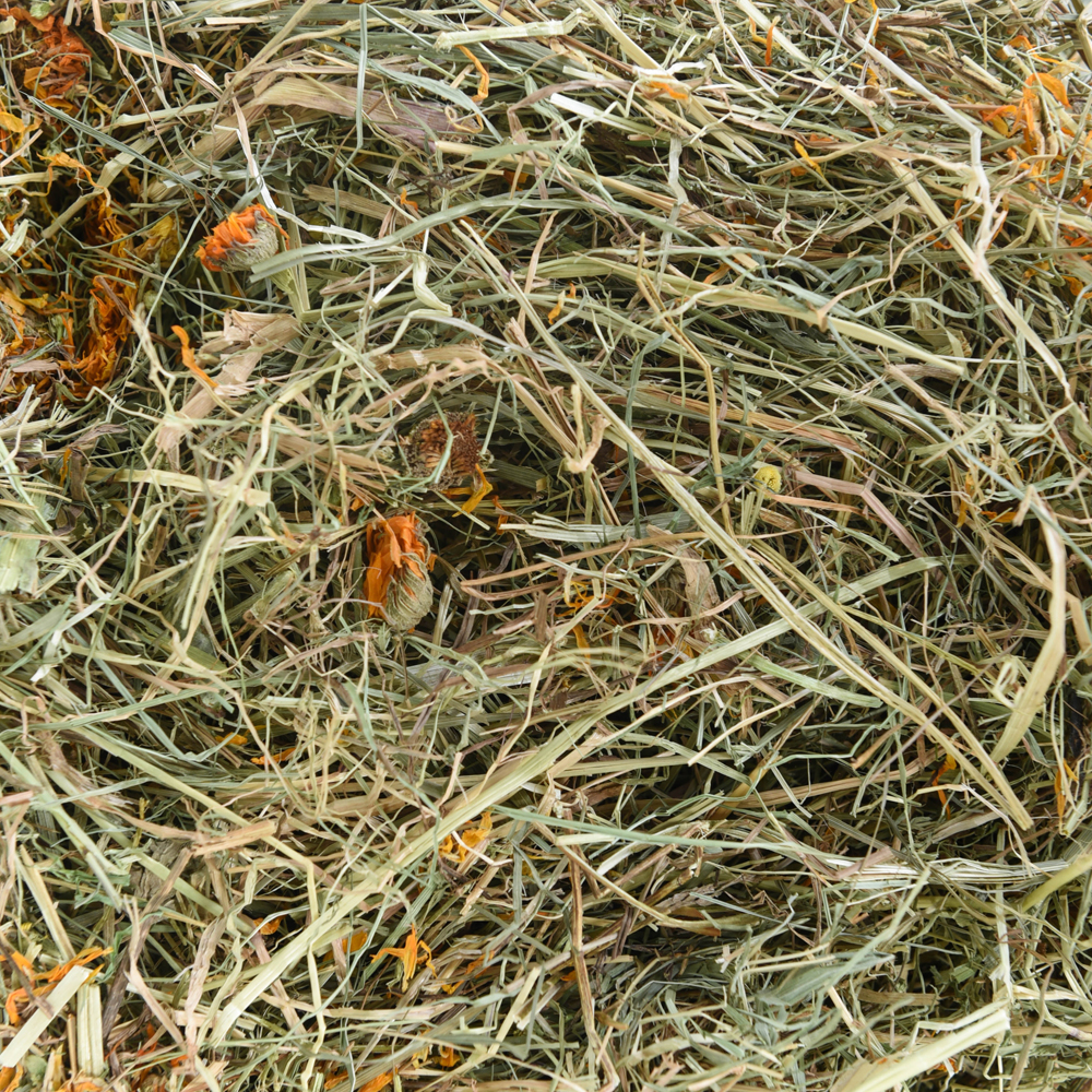 Hochwertiges Aromaheu mit langen, grünen Halmen, sichtbaren Blüten und Kräuteranteilen