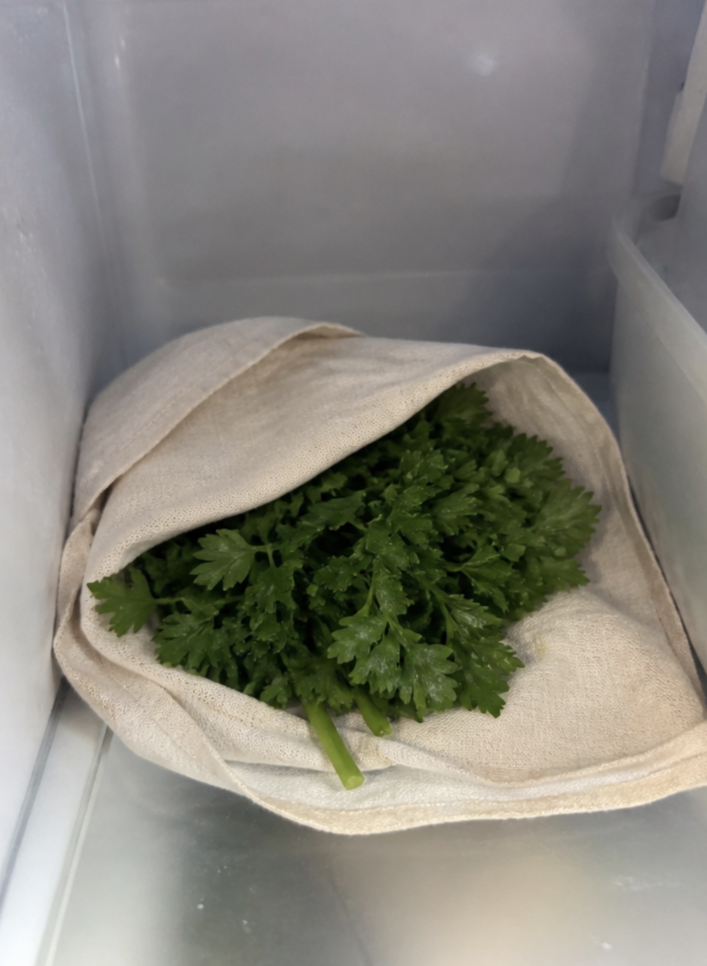 Petersilie locker in ein leicht angefeuchtetes Küchentuch eingeschlagen